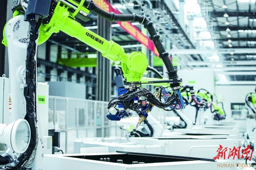 cc02kkk最新地址www66tutucom