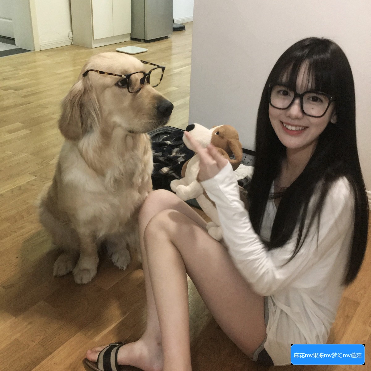 麻花MV怎么下载和在线观看的方法有哪些？