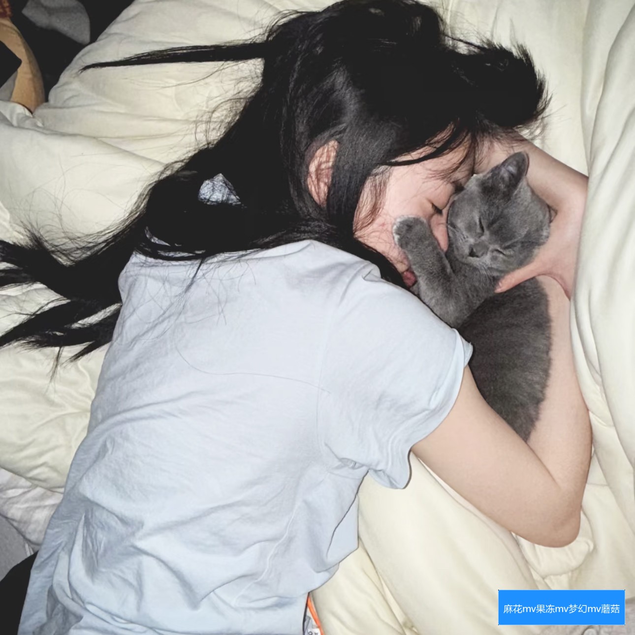 麻花MV传媒有哪些特色服务？它们在娱乐行业中的作用与优势解析